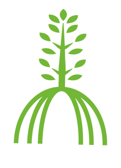 mangrove icon