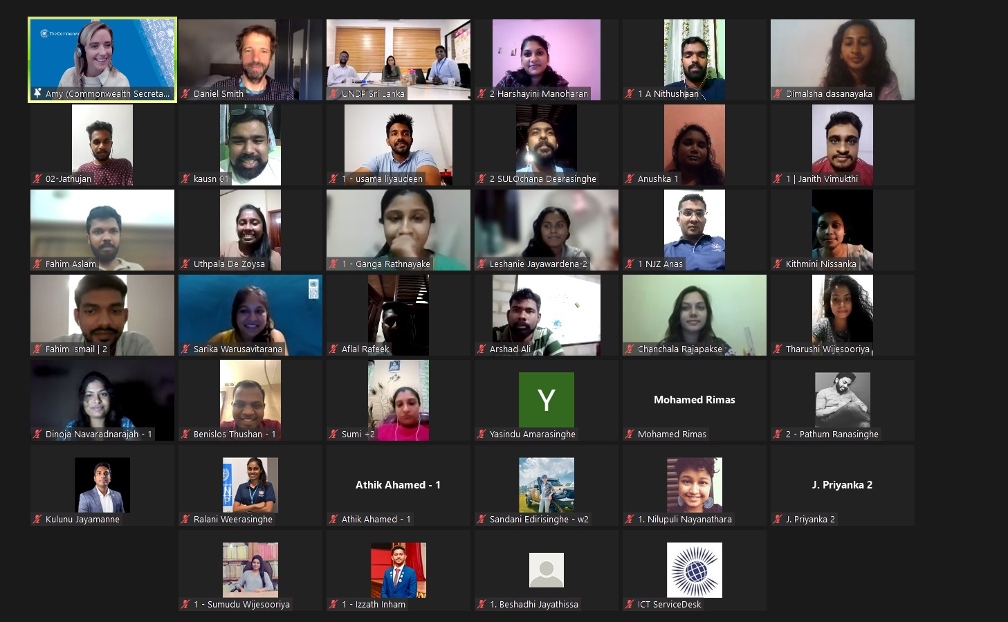 Participants in online Respect in the Commonwealth’ workshop