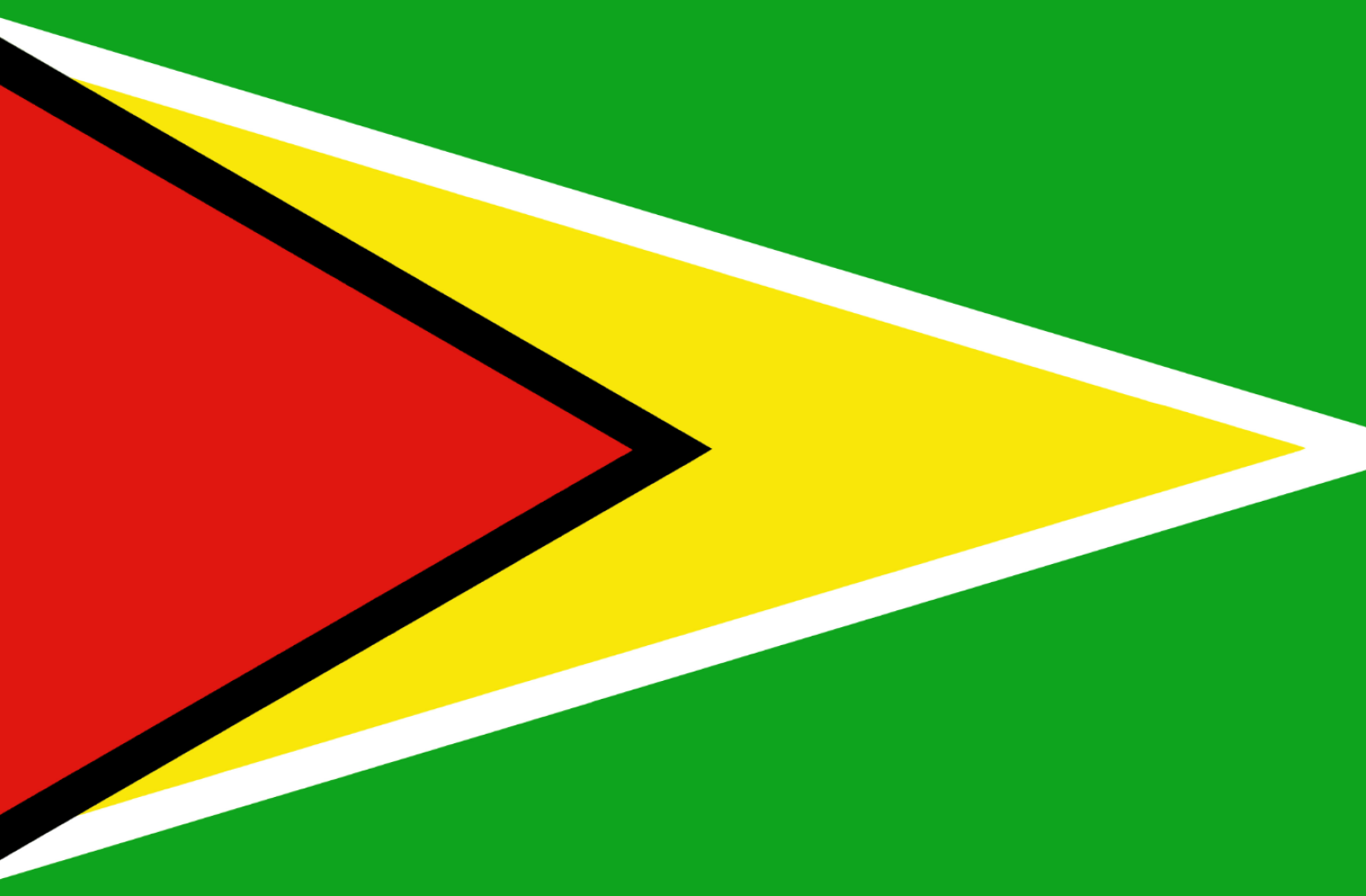 Guyana flag