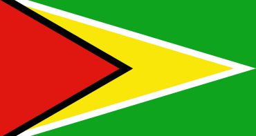 Guyana flag