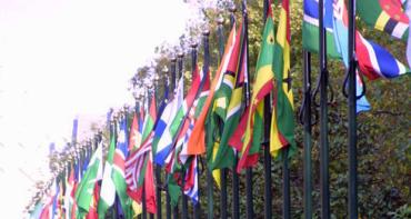 commonwealth flags