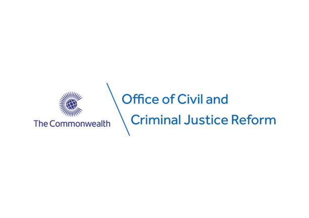 Office of Civil and Criminal Justice Reform established